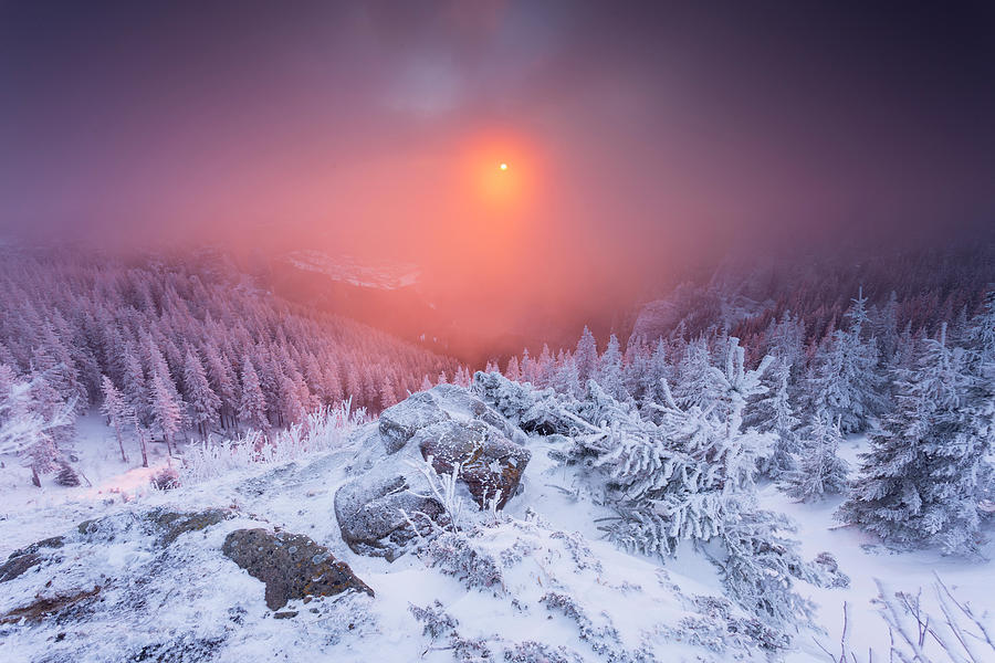 Magic sunrise #9 Photograph by Toma Bonciu