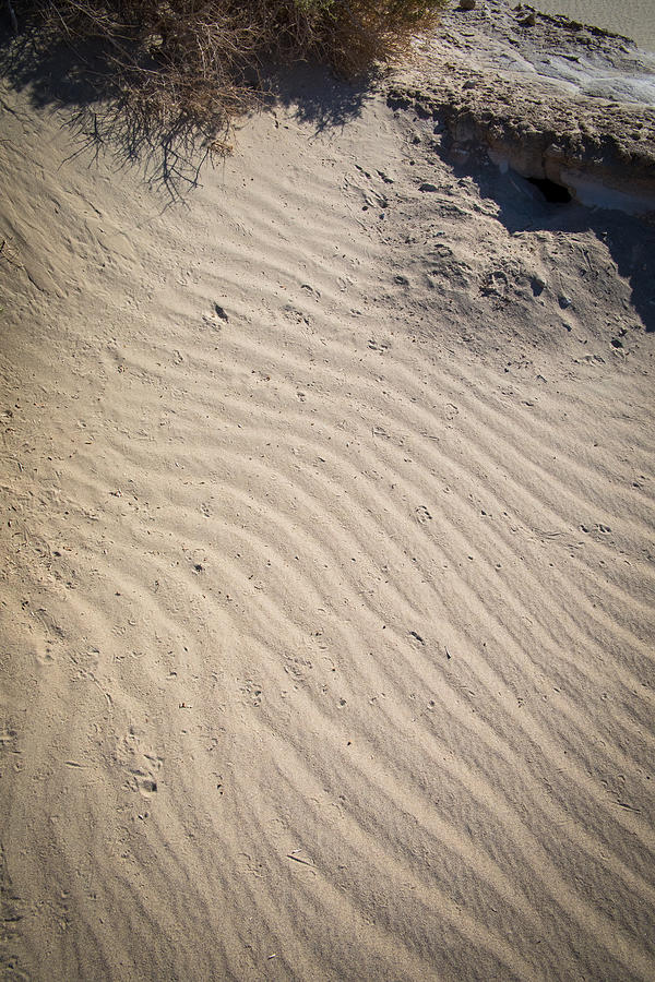 Mesquite Flat Sand Dunes #9 Photograph by Jonathan Babon