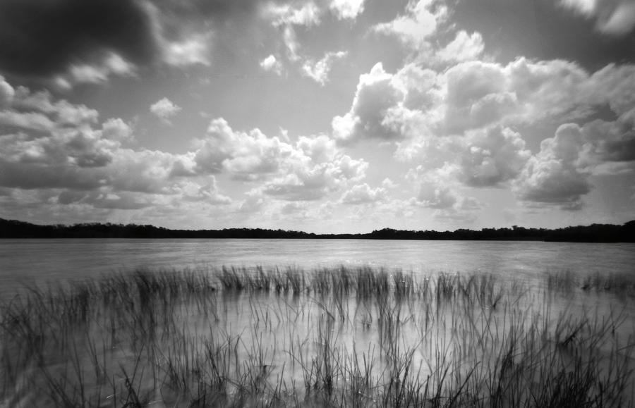 9  mile pond Everglades Photograph by Rudy Umans