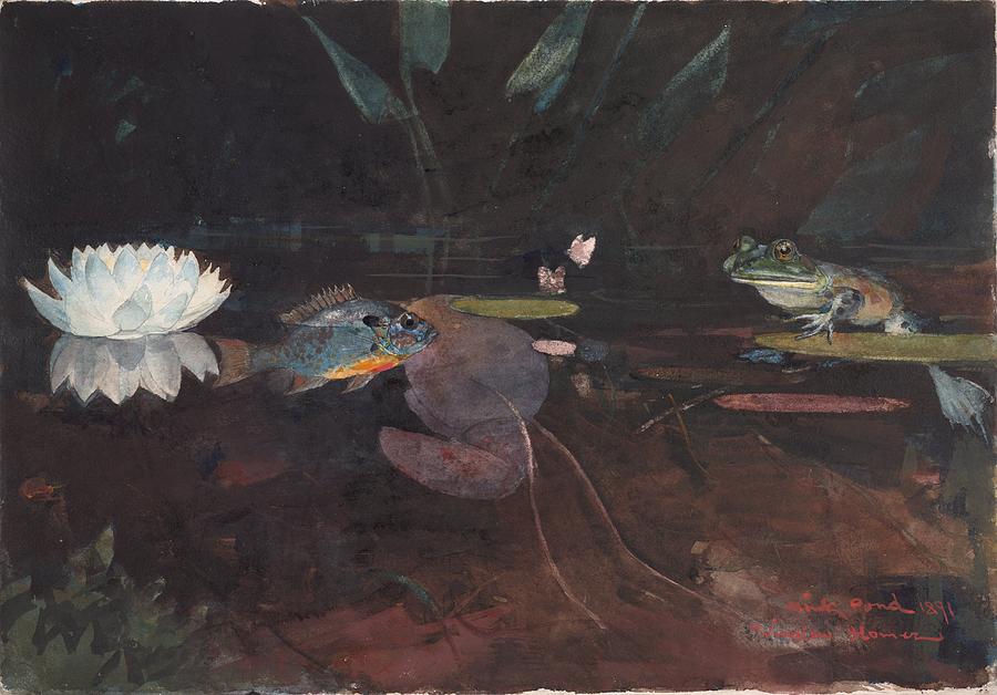 Winslow Homer Painting - Mink Pond #3 by Winslow Homer