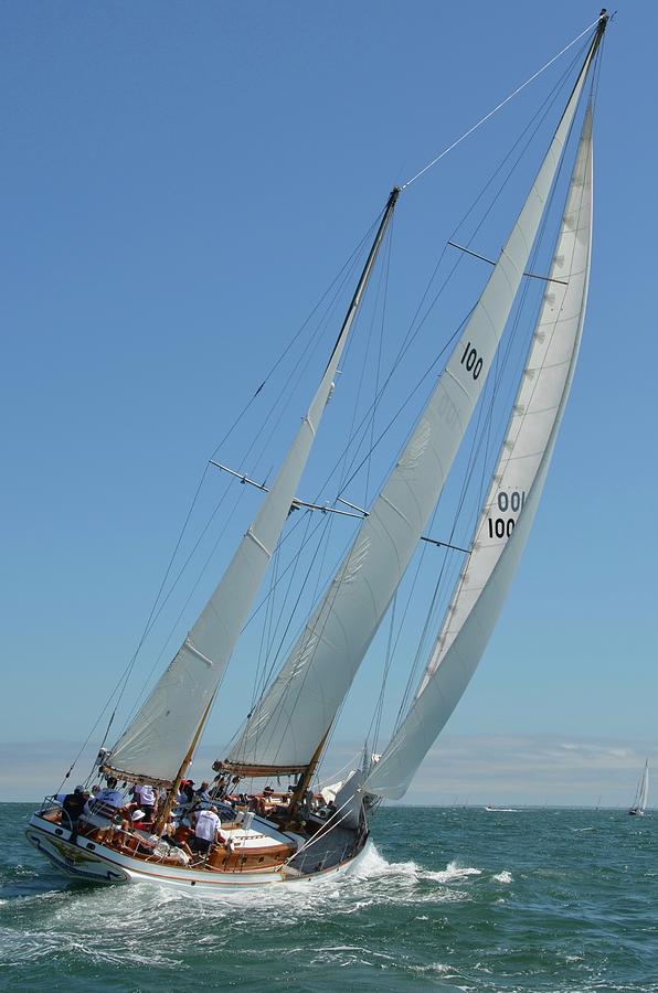 Opera House Cup Regatta Photograph by Roland Cody - Fine Art America