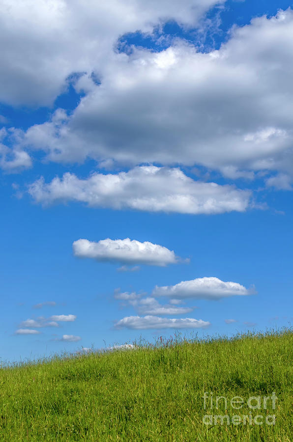 Pasture Field And Sky Photograph By Thomas R Fletcher 