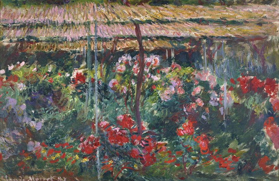 Claude Monet Painting - Peony Garden #9 by Claude Monet
