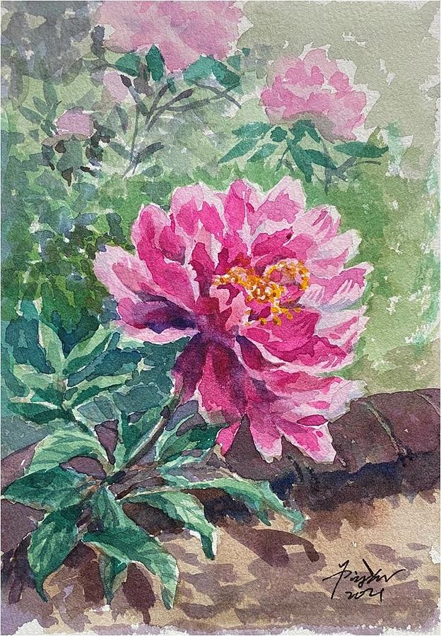 Peony #7 Painting by Ping Yan