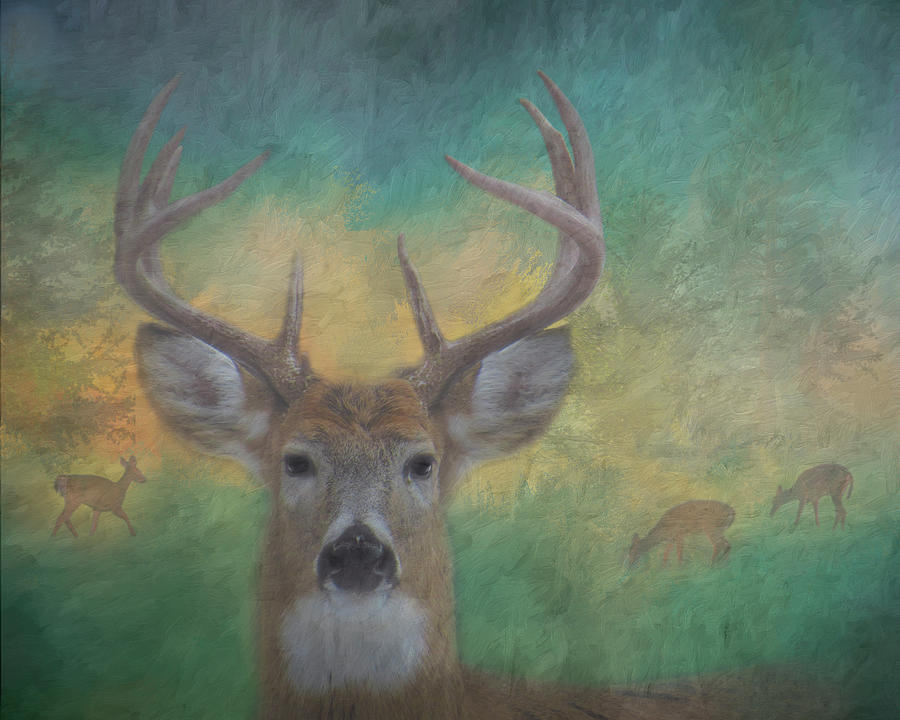 9 Point Buck Painterly Scene #2 Photograph by Patti Deters