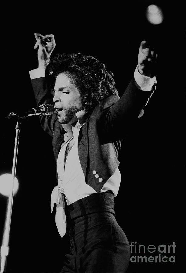 Singer Photograph - Prince by Concert Photos