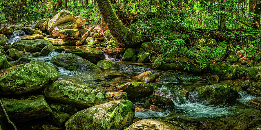 Rainbow Falls Hike Photograph by Gestalt Imagery - Fine Art America