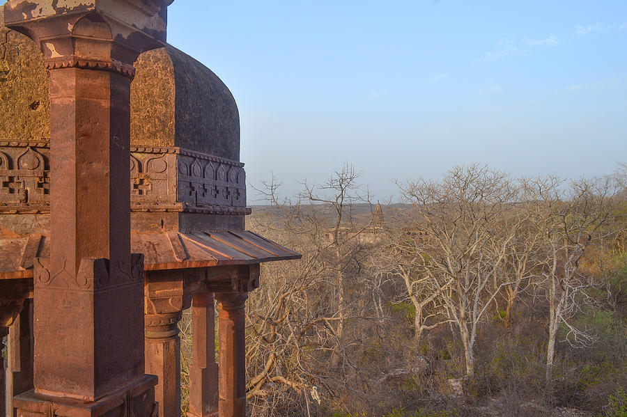 Ranthambore fort/UNESCO World Heritage Site/Rajasthan #9 Photograph by Veena Nair