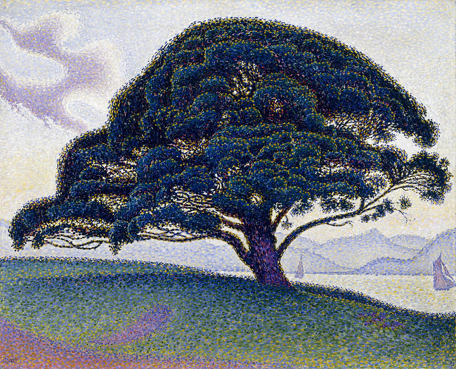 Paul Signac Painting - The Bonaventure Pine #9 by Paul Signac