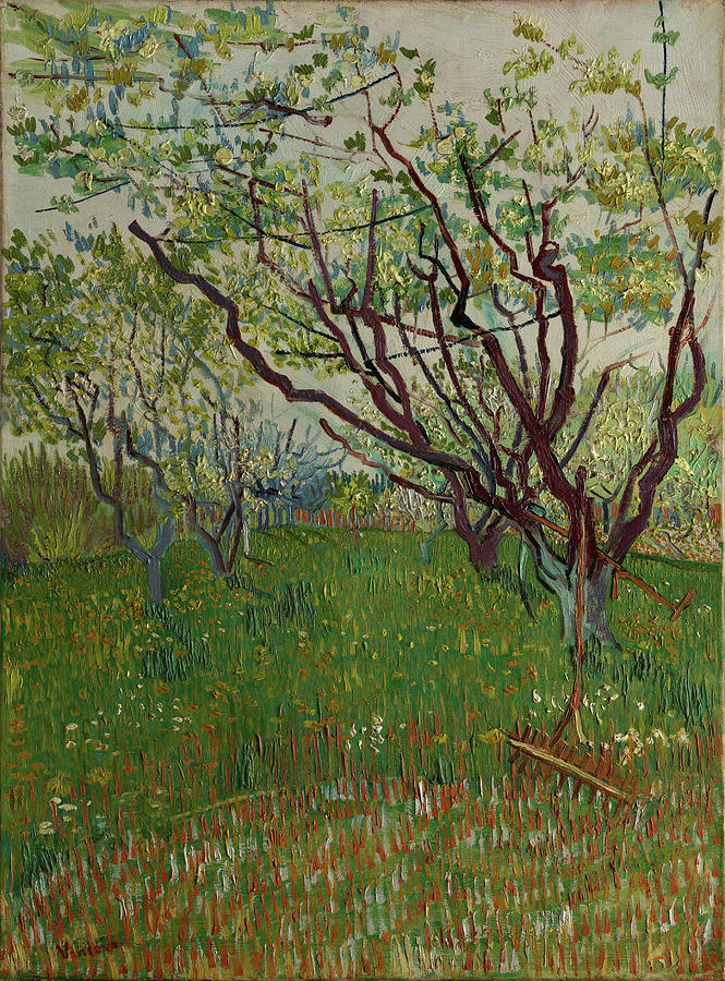Vincent Van Gogh Painting - The Flowering Orchard #12 by Vincent van Gogh