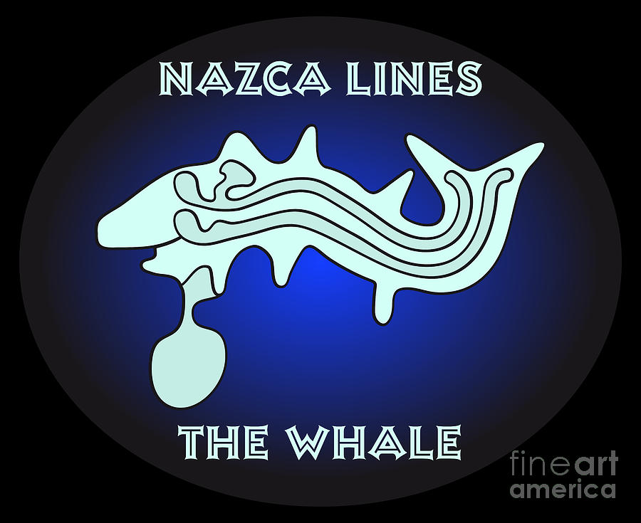 The Whale From Nazca Drawing