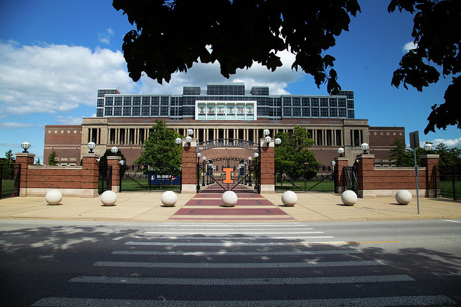View with trees of Memorial Stadium at University of Illinois Photograph by Eldon McGraw