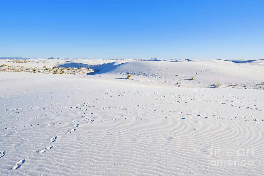 White Sands Gypsum Dunes Photograph by Raul Rodriguez