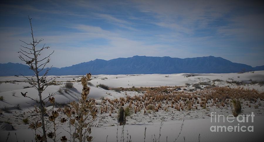 Nature Photograph - White Sands National Park #9 by Leslie M Browning