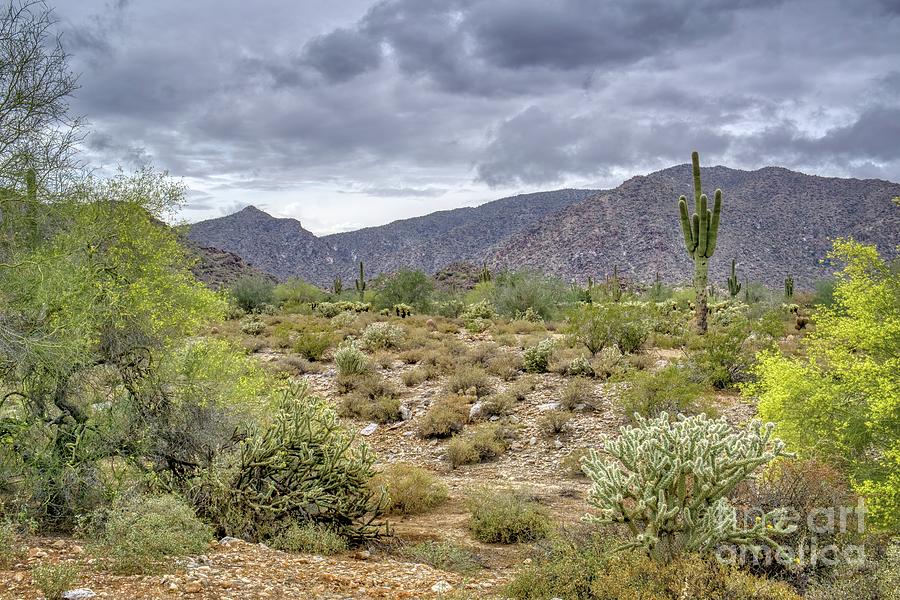 White Tank Mountain Scenes Near Phoenix Arizona #9 Photograph by Kenneth Roberts