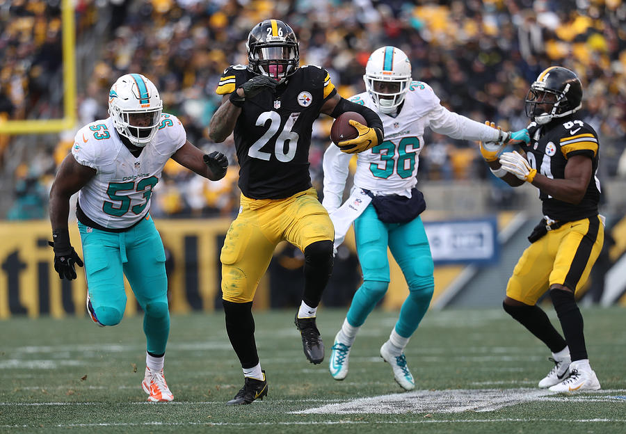 Wild Card Round - Miami Dolphins v Pittsburgh Steelers #9 Photograph by Rob Carr