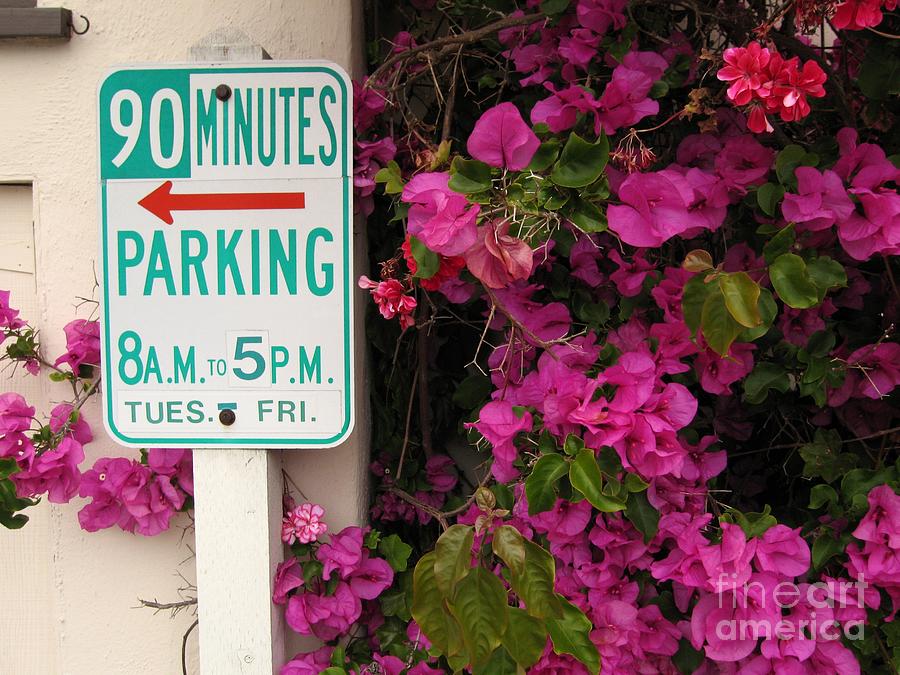 90 Minutes Parking Photograph by James B Toy