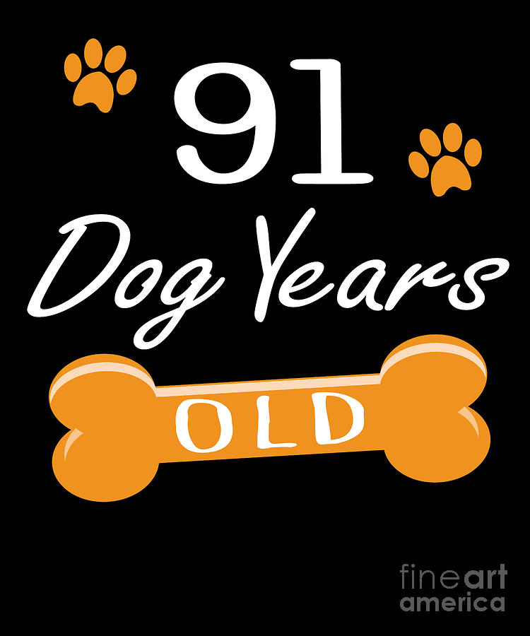 91 in dog years