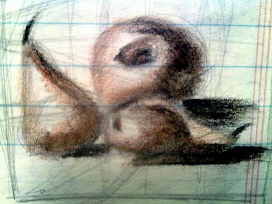 Still Life Drawing - Untitled #95 by Donald C-Note Hooker