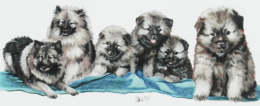 Keeshond Puppies Mixed Media by Barbara Keith