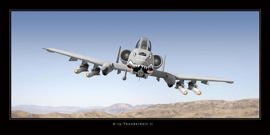 Airplane Photograph - A-10 Thunderbolt II by Larry McManus