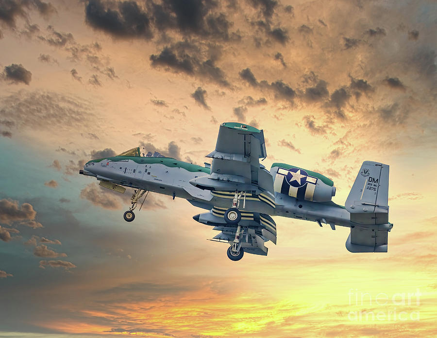 A-10 Thunderbolt II Photograph by Nick Zelinsky Jr