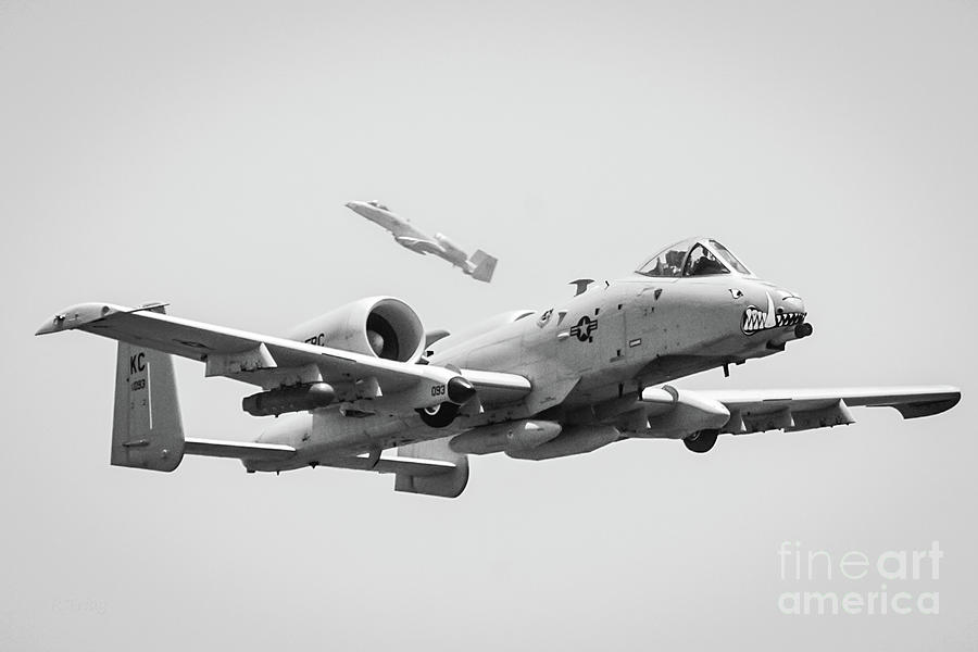 A-10 Thunderbolt Warthog Photograph by Rene Triay FineArt Photos