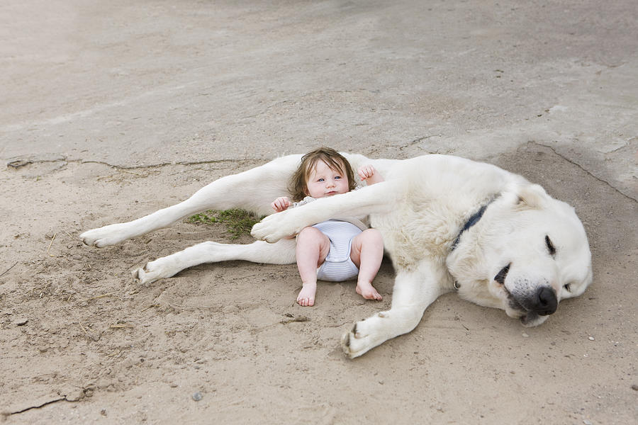 A baby lying with a dog Photograph by fStop Images - Julia Christe