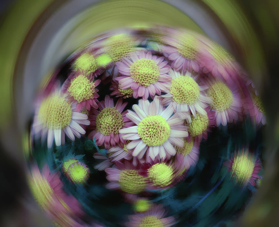 A Ball of Flower Fun  Photograph by Sylvia Goldkranz