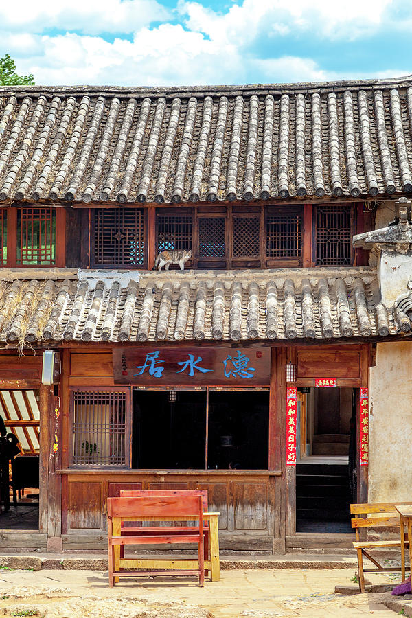 A Bar with Cat in Shaxi Photograph by W Chris Fooshee