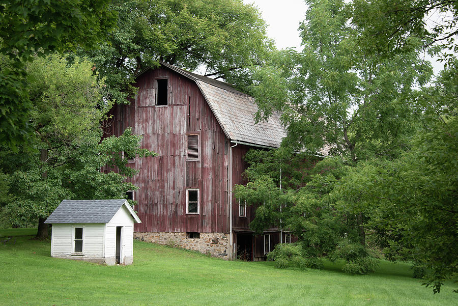 A Barn In The Trees Photograph by Guy Whiteley