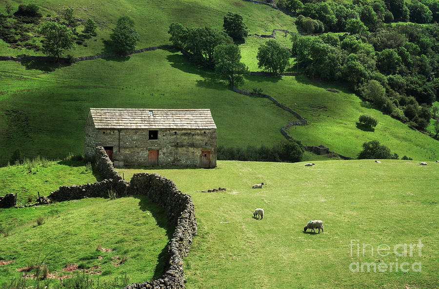 A Barn in Yorkshire Photograph by David Lichtneker