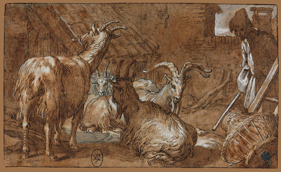 A Barnyard with Goats and a Goatherd Drawing by Abraham Bloemaert