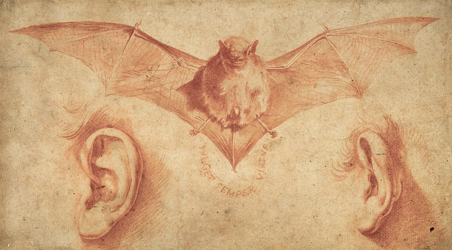 Jusepe De Ribera Painting - A Bat and Two Ears, 1620 by Jusepe de Ribera