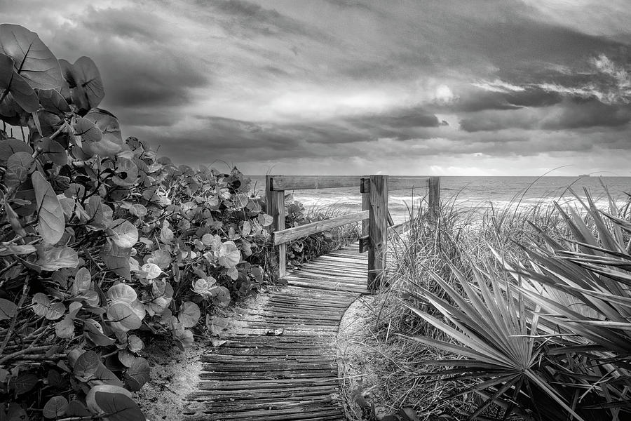 A Beach Kind of Day Black and White Photograph by Debra and Dave ...