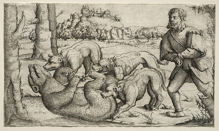A Bear Hunt Drawing by Augustin Hirschvogel