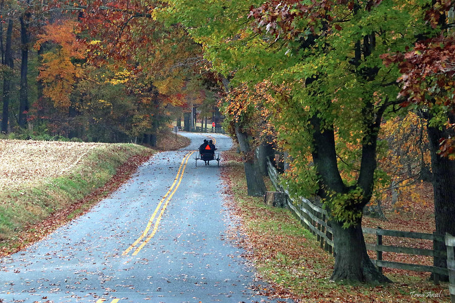 A Beautiful Autumn Day for a Buggy Ride Photograph by Trina Ansel