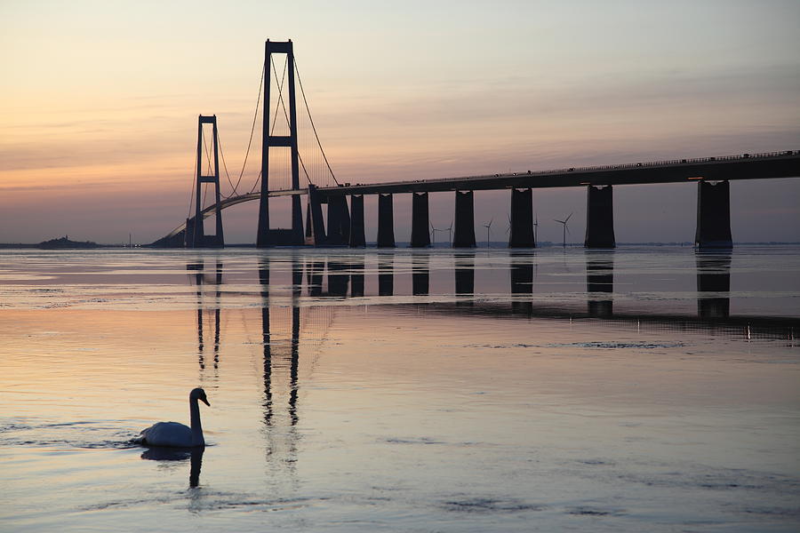 A beautiful bridge at sunset with a swan in the water Photograph by Pejft