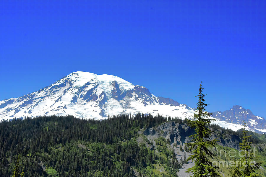 A Beautiful Day at Mt Rainier Photograph by Scott Cameron