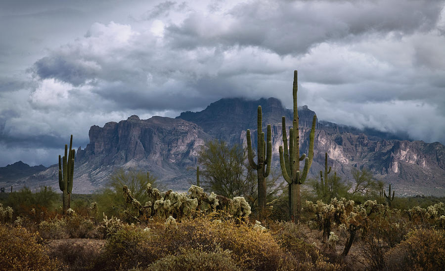 A Beautiful Day In The Sonoran  Photograph by Saija Lehtonen
