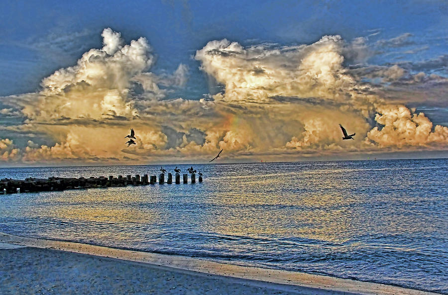 A Beautiful Florida Morning Photograph by HH Photography of Florida