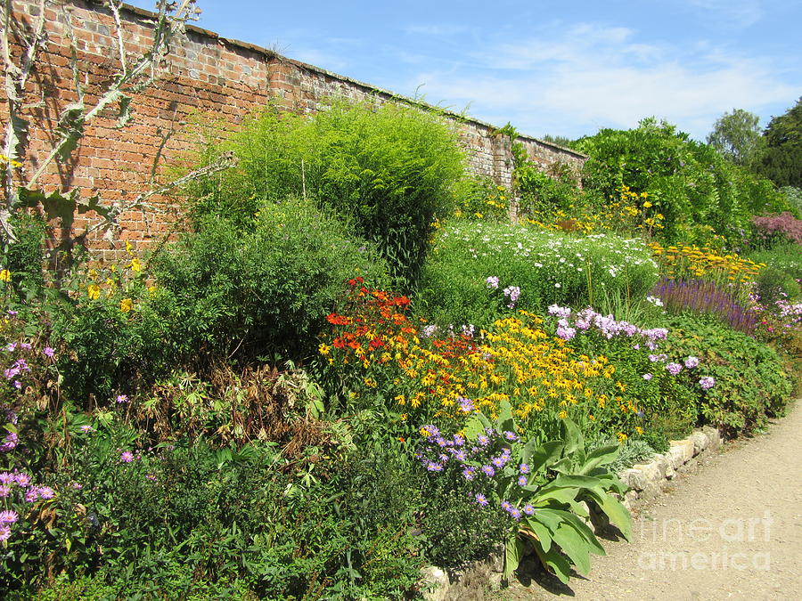 A Beautiful Herbaceous Border Photograph by Lesley Evered - Fine Art ...