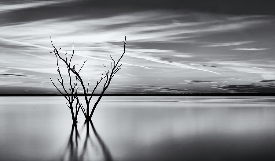 A beautiful lake sunset in Dallas in Black and white Photograph by David Ilzhoefer