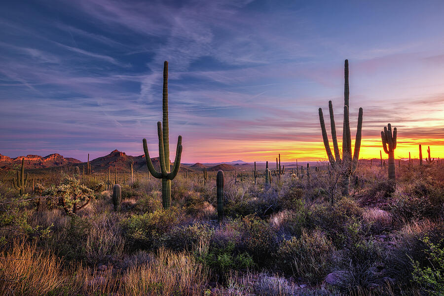 Sunset Pyrography - A Beautiful Sunset in Arizona by Shakil Photography