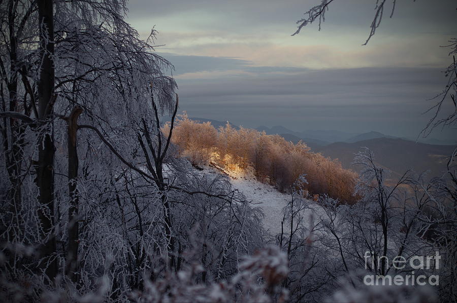 A Beautiful Winter Landscape Photograph by Amalia Suruceanu