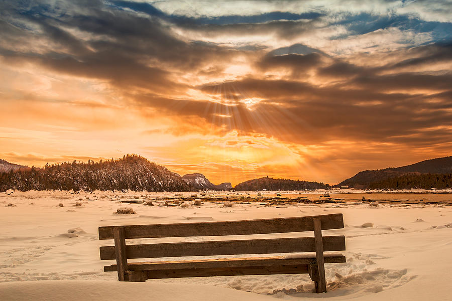 A bench in winter Photograph by Jean Surprenant
