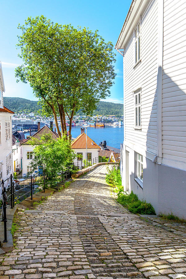A Bergen Neighborhood Photograph by W Chris Fooshee