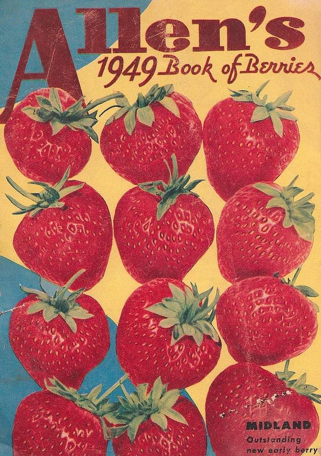 A Very Berry Book Digital Art by Kim Kent
