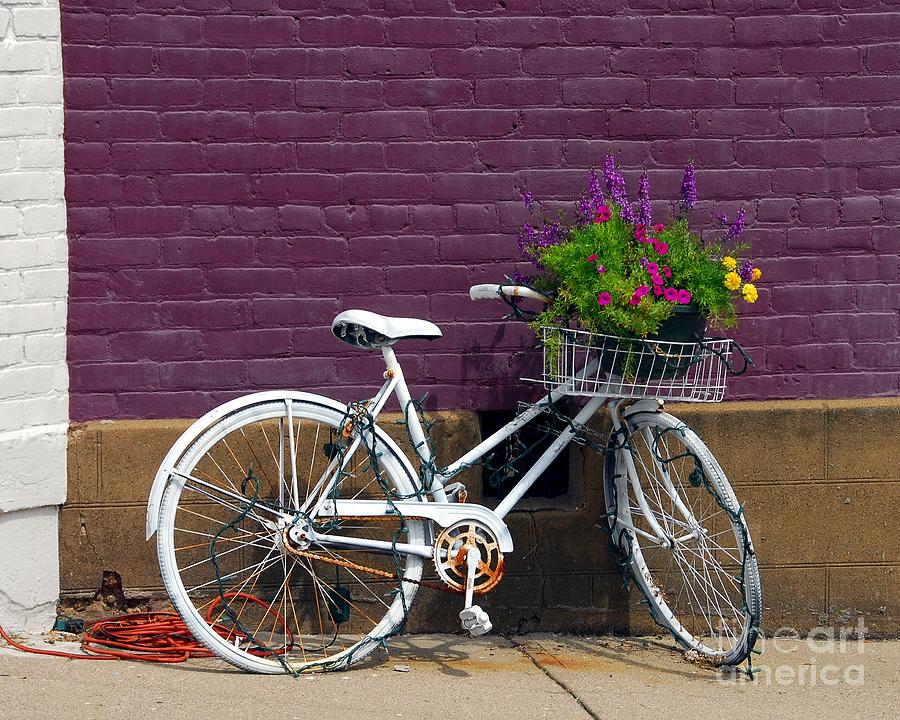 Bicycle Photograph - A Bicycle To Nowhere by Mel Steinhauer