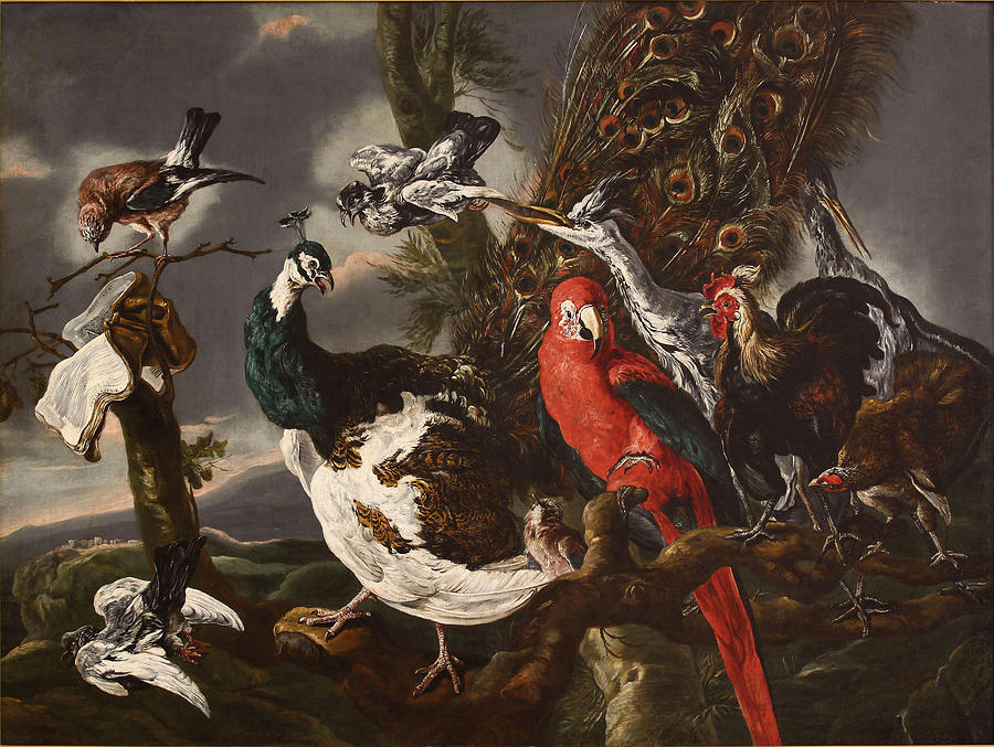 A bird concert Painting by Workshop of Jan Fyt